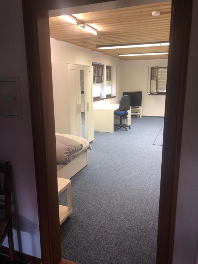 1-Zimmer Apartment, 45 Qm, Im Weinort Neustadt-Duttweiler Neustadt an der Weinstrasse Luaran gambar