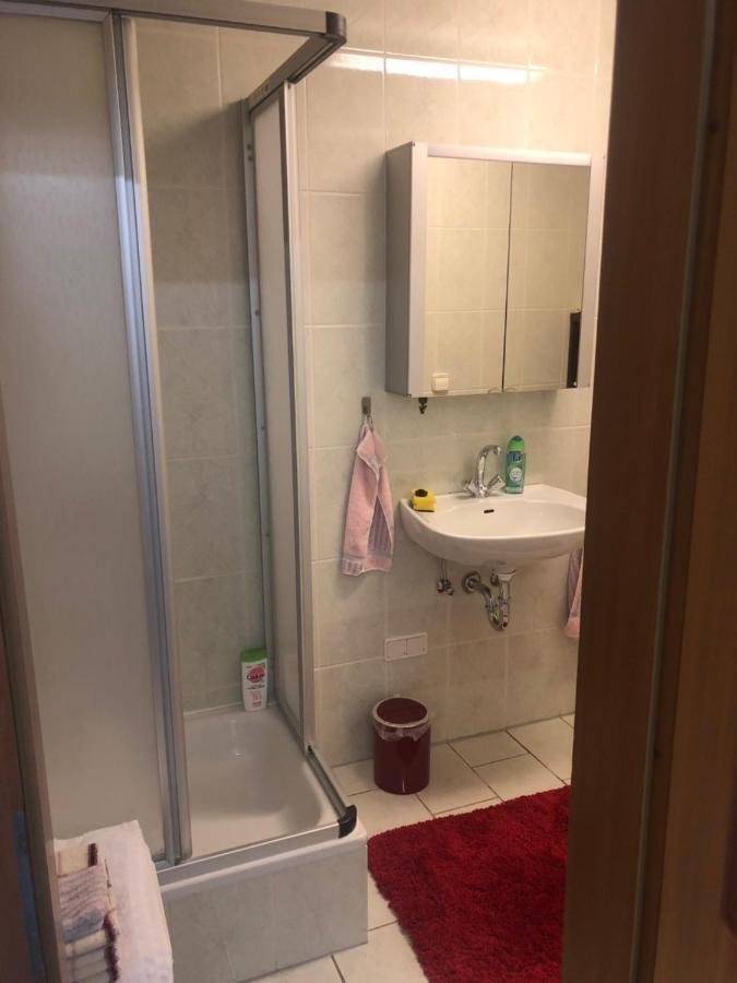 1-Zimmer Apartment, 45 Qm, Im Weinort Neustadt-Duttweiler Neustadt an der Weinstrasse Luaran gambar